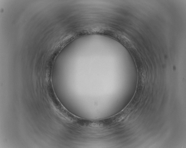 X0000060760546200512082011