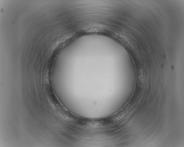 X0000060760547200512082011