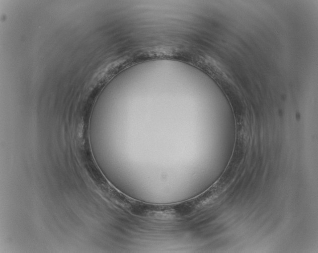 X0000060760548200512082011