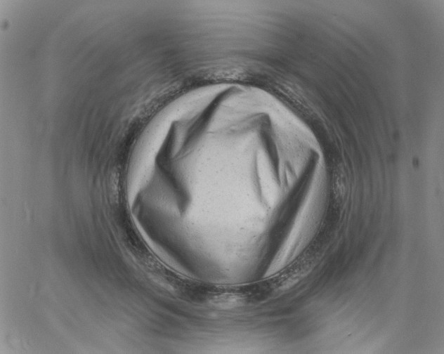 X0000060760551200512082011