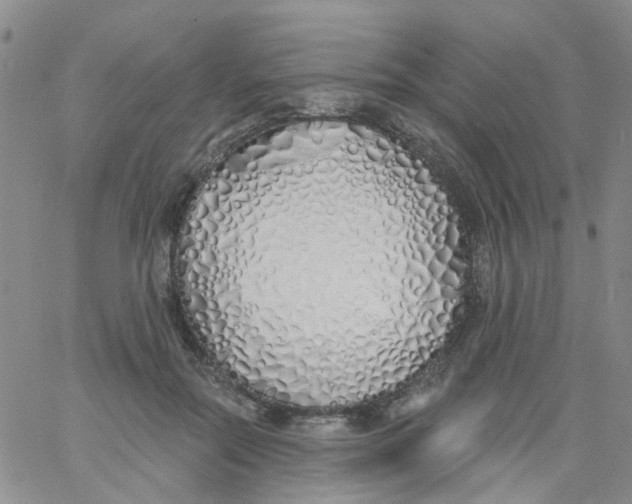 X0000060760554200512082011