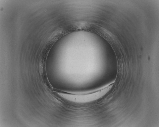 X0000060760558200512082011