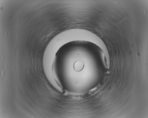 X0000060760570200512082011