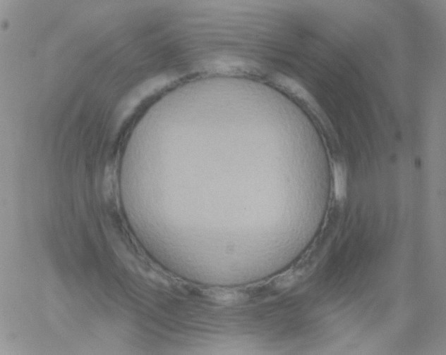 X0000060760579200512082010