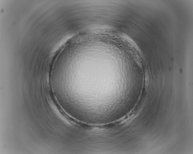 X0000060760581200512082010
