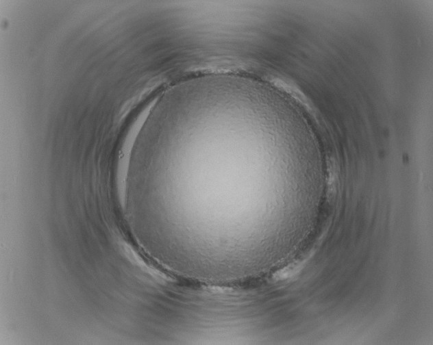 X0000060760585200512082010