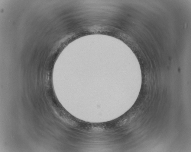 X0000060760592200512082010