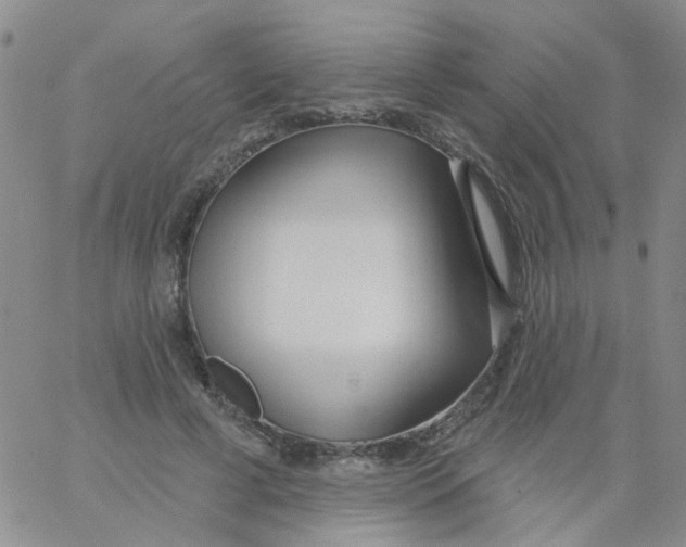 X0000060760593200512082010