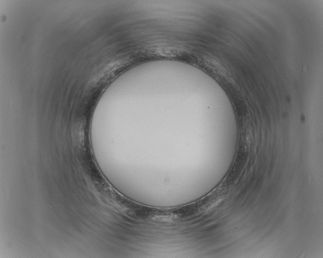 X0000060760595200512082010