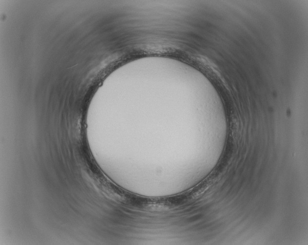 X0000060760596200512082010
