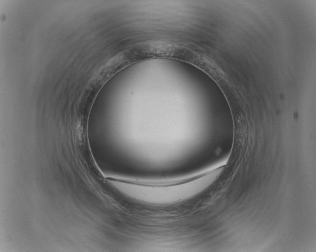 X0000060760597200512082010