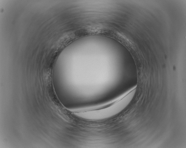X0000060760601200512082010