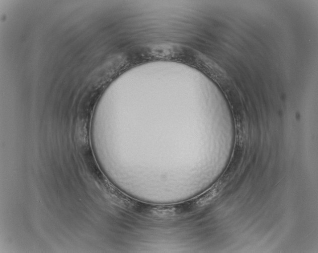 X0000060760606200512082010