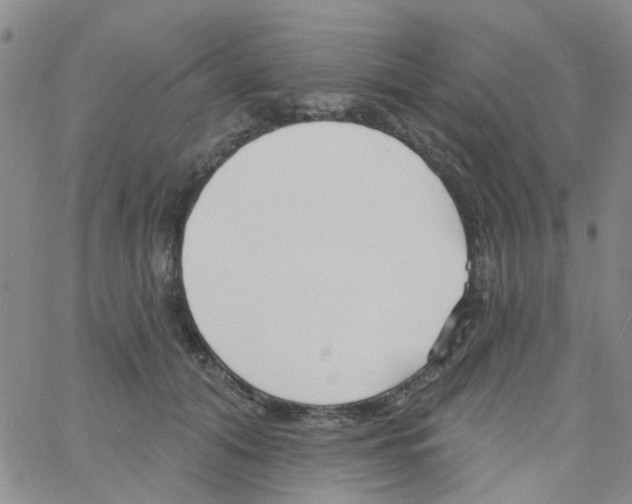 X0000060760608200512082010