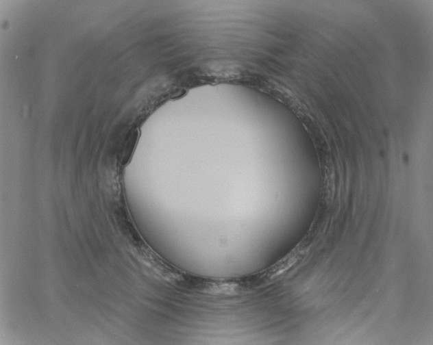 X0000060760609200512082010