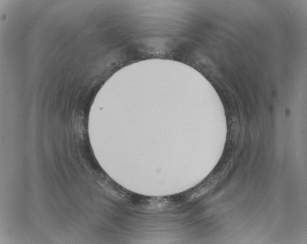 X0000060760612200512082010