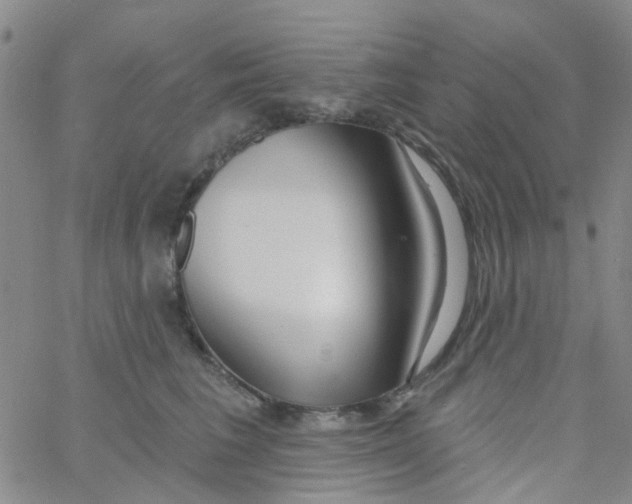 X0000060760613200512082010