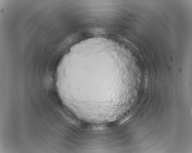 X0000060760618200512082010