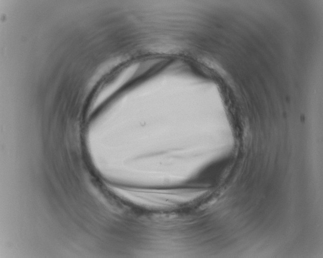 X0000060760626200512082009