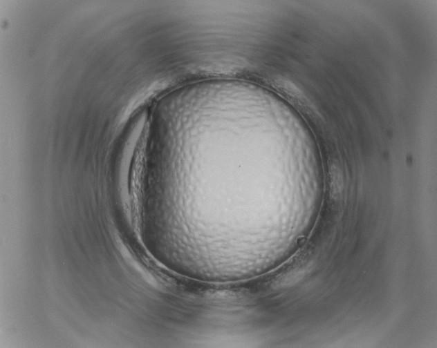 X0000060760634200512082009