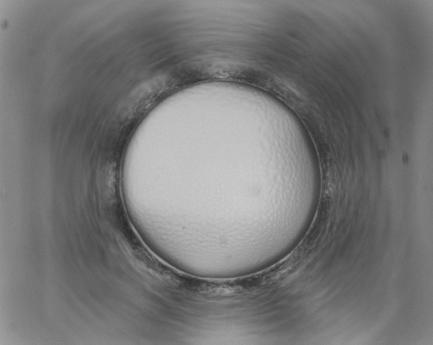 X0000060760646200512082009