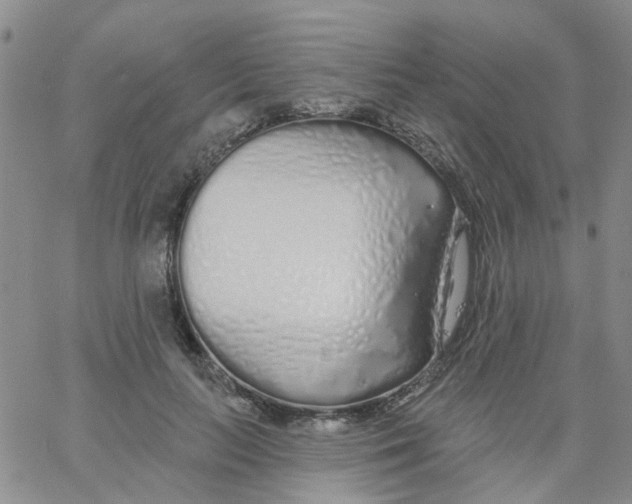 X0000060760647200512082009