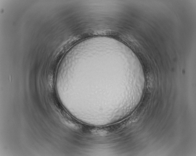 X0000060760648200512082009