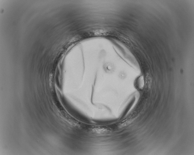 X0000060760650200512082009