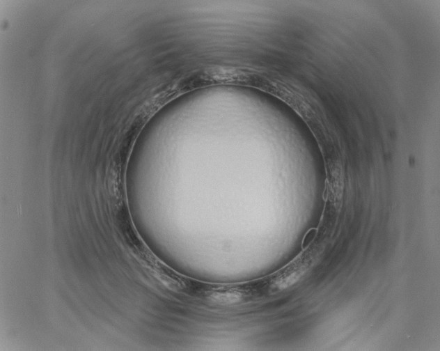 X0000060760653200512082009