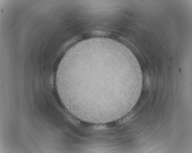 X0000060760668200512082009