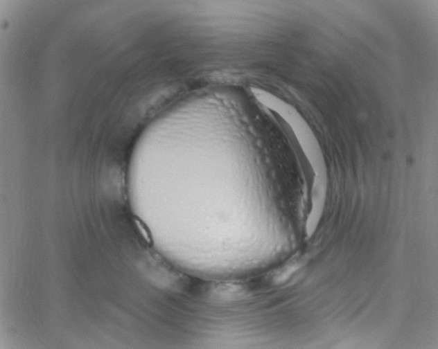 X0000060760669200512082009