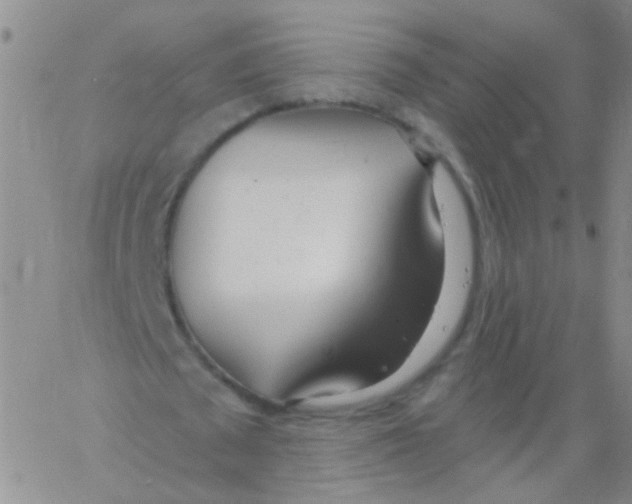 X0000060760673200512082009