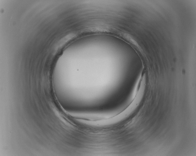 X0000060760677200512082009