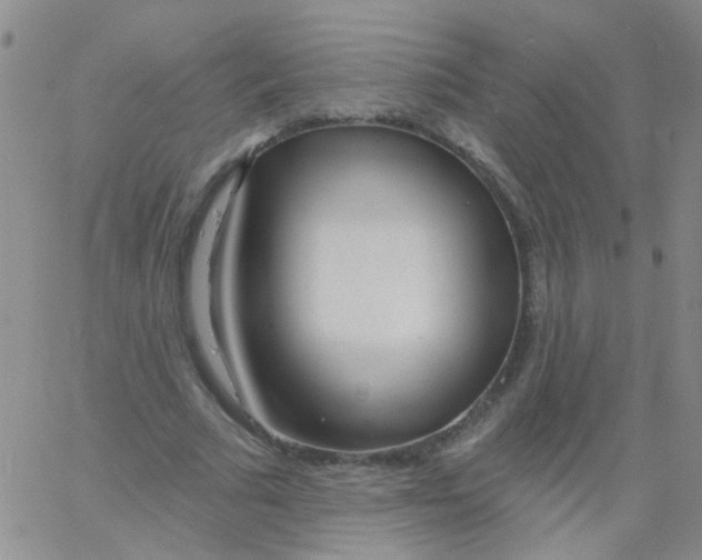 X0000060760681200512082009
