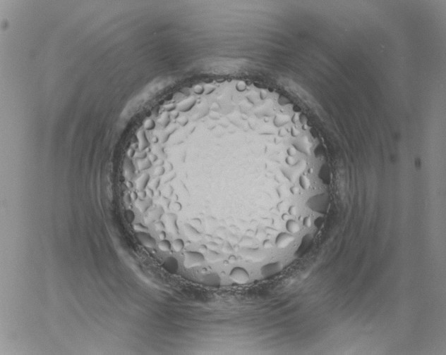 X0000060760682200512082009