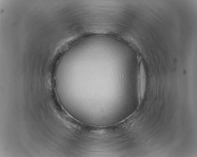 X0000060760688200512082009