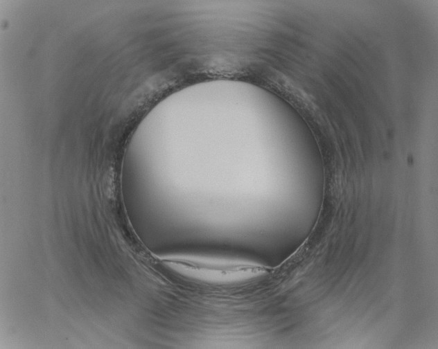 X0000060760689200512082008
