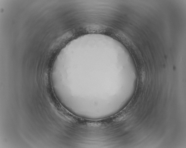 X0000060760690200512082008