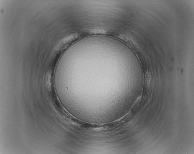 X0000060760692200512082008
