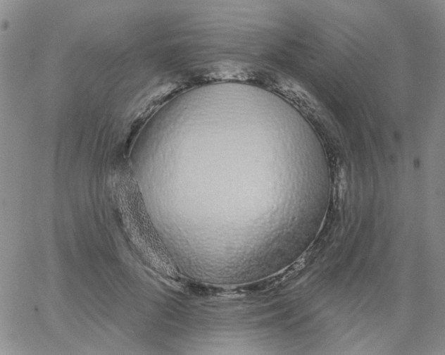 X0000060760696200512082008