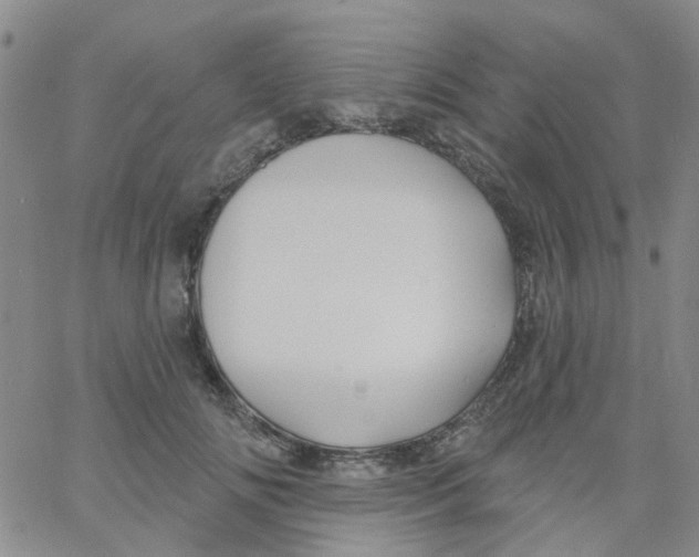 X0000060760702200512082008