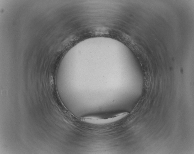 X0000060760704200512082008