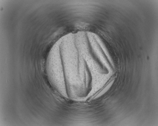 X0000060760712200512082008