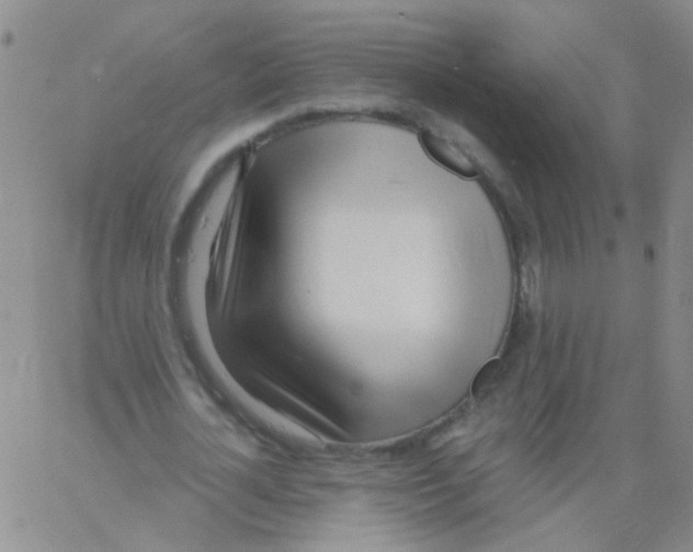 X0000060760724200512082007