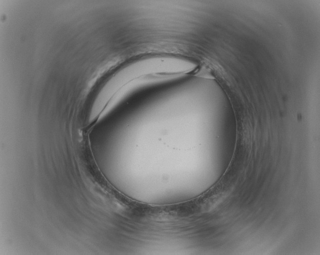X0000060760731200512082007