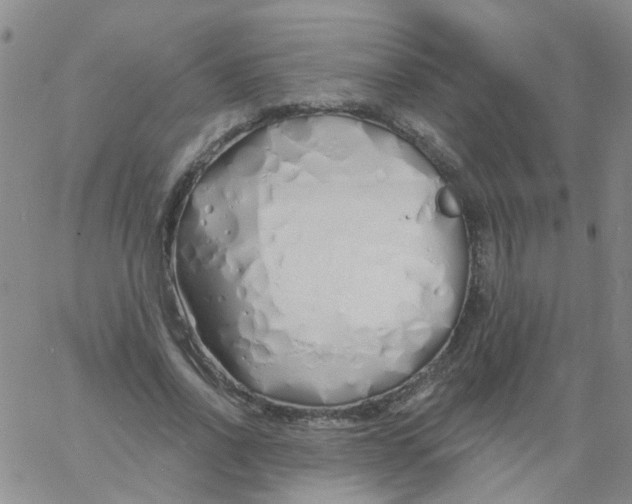 X0000060760734200512082007