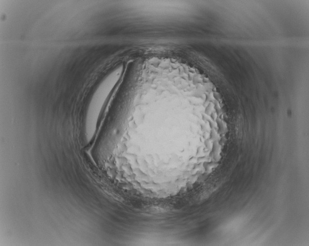 X0000060760737200512082007