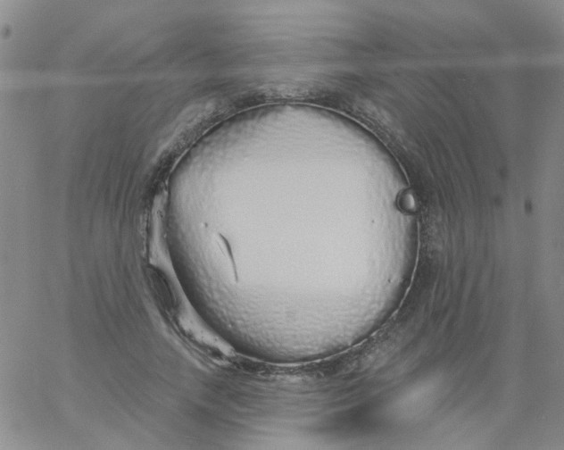 X0000060760738200512082007