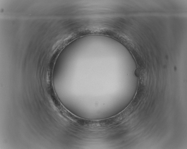 X0000060760740200512082008