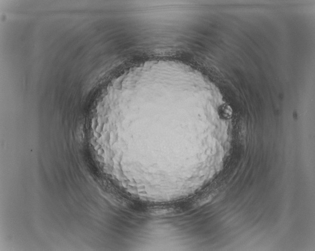 X0000060760746200512082008